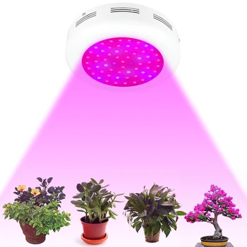 10pcs LED 600W UFO LED Grow Light 9-Band Double Chips Full Spectrum Led Plant Growing Lamp for Plant Veg and Flower Growth Lamp