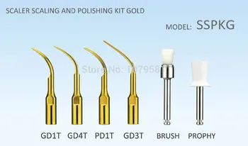 2 PCS SSPKG TOOTH POLISHING KIT WITH DENTAL POLISHING MATERIALS AND SCALER TIPS FOR SATELEC GNATUS DTE FU-FRIEDY IN ORAL HYGIENE