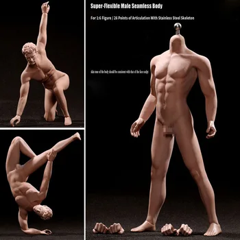 1/6 figure male body normal muscle Super-Flexible Seamless Body Stainless Steel Skeleton for 12