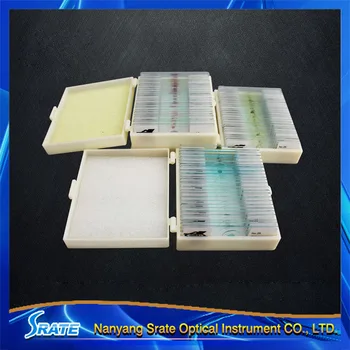 75 PCS Professional Medical Study Prepared Plants Animals Insects Specimen Scetion Slice Microscope Slides