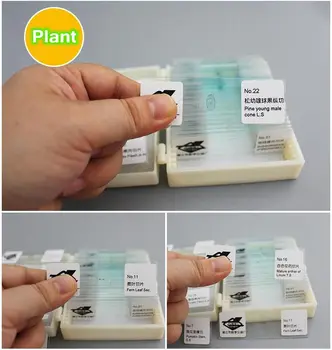 75 PCS Professional Medical Study Prepared Plants Animals Insects Specimen Scetion Slice Microscope Slides