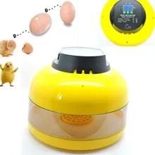 10-Egg Mini Egg Incubator Egg Candler Poultry Chicken Goose Quail Duck Egg Incubator Chicken