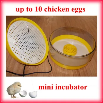 10 egg incubators are fully automatic for chicken and duck goose quails, and !
