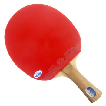 Pro Table Tennis/ PingPong Combo Racket: Galaxy YINHE T-11+ with 729 Super FX / Palio Power Dragon