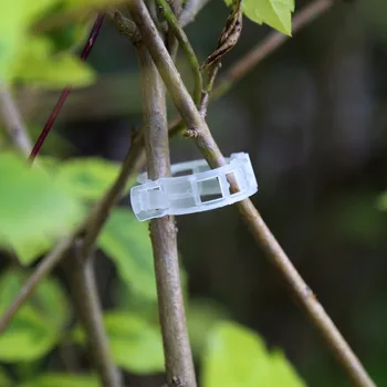 Hot Vegetarian Garden Plant Support Plant Clip/Plastic Tied Tie Branch Tendril Clips/Clamps 100pcs Garden Supplies