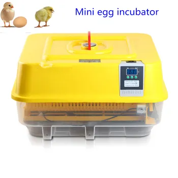 Hatchery egg incubator mini china chicken incubator for hatching eggs with CE approved