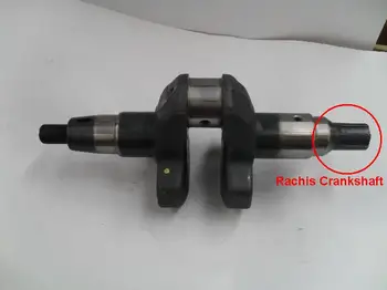 Diesel engine 186FA Rachis Crankshaft rachides use on Tiller Cultivators suit for kipor kama and all Chinese brand