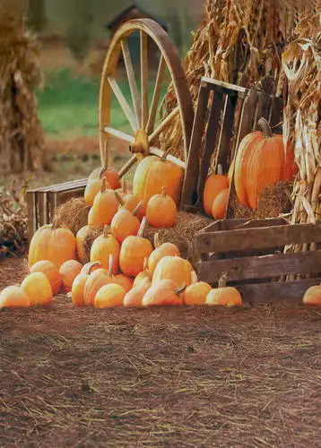 Anti-crease material background harvest farmyard pumpkin photography backdrop for photography backgrounds props HG-217-A