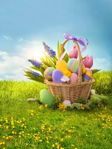 Anti-crease material background Easter day eggs in basket photography backdrop for photography backgrounds props HG-254-A