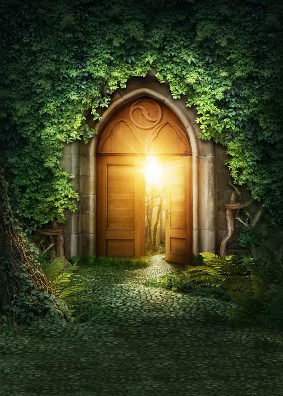 Light in mysterious gateway backdrops anticrease fleece photography backdrop for studio photography background S-676-A