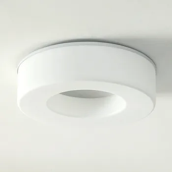 18W Led Ceiling Lamp Modern Acrylic Decor Living Room Bedroom Stair Kitchen Light Fixtures White Iron Indoor Home Lighting 220V