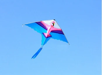 Parrot kite with handle line outdoor flying toy nylon ripstop kite surf sport parachute octopus kite