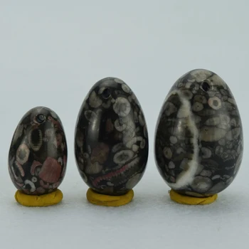 Toys for Adult Natural Crinoid Fossil Jasper Drilled Yoni Egg for Kegel Exercise Pelvic Floor Muscle Vaginal Ben Wa Ball (3PCS)