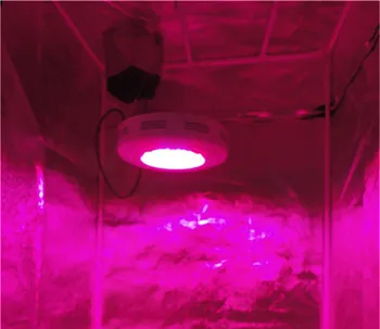Ufo 180w led grow light 60x3w red 630nm blue 460nm for indoor hydroponic growing system