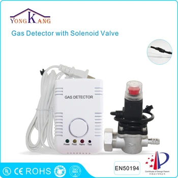 Yongkang Combustible Gas Alarm with Hose Solenoid Valve for Gas Cylinder Shut Off