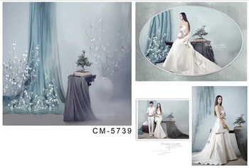 Customize vinyl cloth print dancer curtains room wallpaper photo studio background for portrait photography backdrops CM-5734