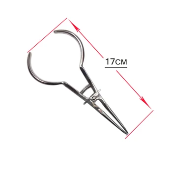 1pcs Tooth Ring Dental Placing Forceps Ring Arranged for Rubber Ring Placed Orthodontic Pliers Tools Clamp Forceps Orthodontic