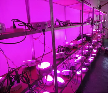 To Russia Greenhouse 135w ufo grow light 10 spectrums 45x3w for indoor plants flowering/ blooming/ seeding