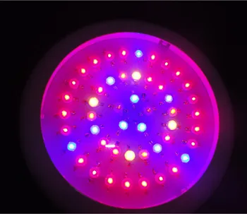 147w hydroponics equipment led grow light 10 spectrum 49x3w for indoor greebhouse plants growing