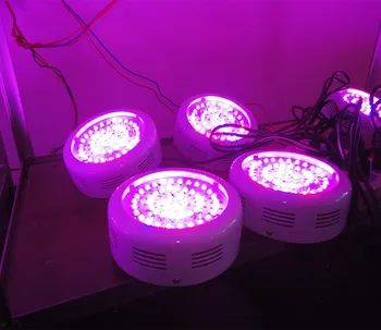 147w hydroponics equipment led grow light 10 spectrum 49x3w for indoor greebhouse plants growing