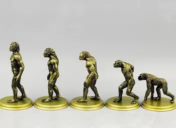 Figure  ornament decoration Darwinian model of human origins 5pcs/set