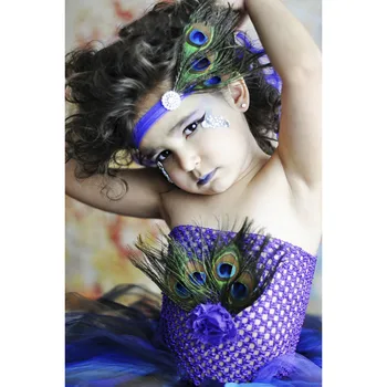Princess Tutu 2017 Peacock Feathers Tutu Dress Purple Color Tulle Tutus Cosplay Custom Girls Dress With Headband