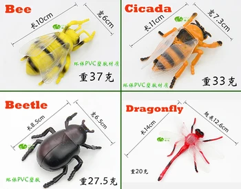 8pcs Medium Size Insect Toy Model Set Bee Cicada Beetle Dragonfly Ladybug Hexapod Decorations Figures Collection