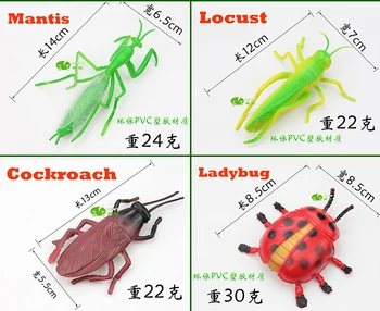 8pcs Medium Size Insect Toy Model Set Bee Cicada Beetle Dragonfly Ladybug Hexapod Decorations Figures Collection