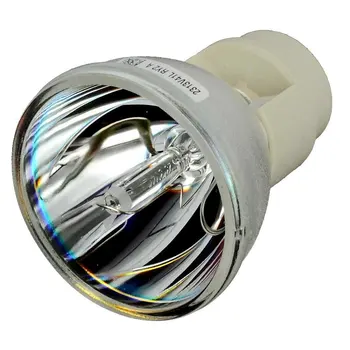 RLC-090  Replacement Projector Lamp/Bulb For Viewsonic PJD8633WS/P-VIP 240W E20.8/180days Warranty