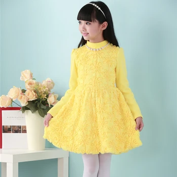 Hot-Sales Autumn Winter Korean Sweet Children's Beautiful Princess Dresses Warm Velvet Lining Embroidery Flowers Ball Gown Dress
