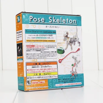 Color box Pose Skeleton Mode PVC Figure Toy Human Child Dog Skeleton Body Chan Body Kun