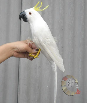 About 43cm white Cockatoo parrot ,plastic foam & feathers parrot model,teaching prop,home Decoration gift w5586