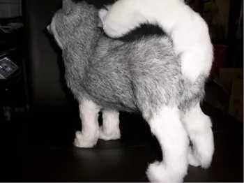 Simulation animal about 30cm standing husky furry dog emulation husky doll , birthday gift k0705