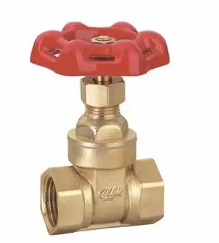 Brass gate valve 1-1/4