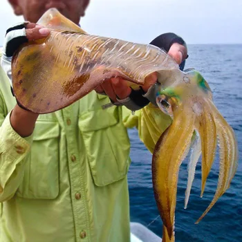 New 7pcs Luminous Squid Jigs Light umbrella Stainless Steel hook Fishing Cuttlefish Shrimp 1.5 Octopus Bait Lure jigging