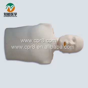 BIX/CPR100B Adult Half Body Basic Cpr Manikin W082