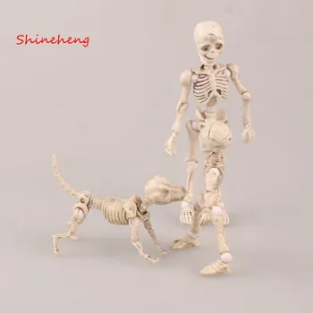 SHINEHENG 3-8cm 3pcs/set Pose Skeleton Adult Child Dog Skeleton Body Action Figure Toys Chan Ver Body Kun Youth Model Doll
