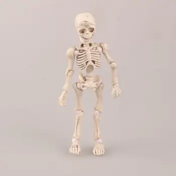 SHINEHENG 3-8cm 3pcs/set Pose Skeleton Adult Child Dog Skeleton Body Action Figure Toys Chan Ver Body Kun Youth Model Doll