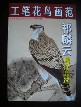 China Eagle HAWK Chinese Painting Sketch Book