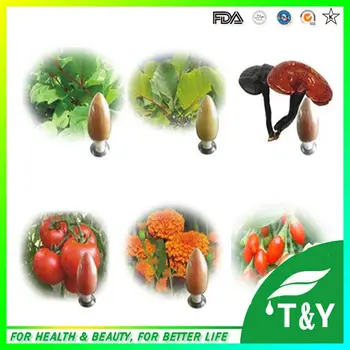 Factory Supply Reishi Mushroom Extract, Ganoderma Lucidum Extract 700g/lot for