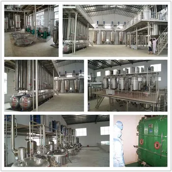 Factory Supply Reishi Mushroom Extract, Ganoderma Lucidum Extract 700g/lot for