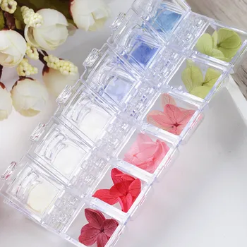 12 Colors/box 3D Nail Art Dried Flower Decoration DIY Preserved Flower Nail Decoration