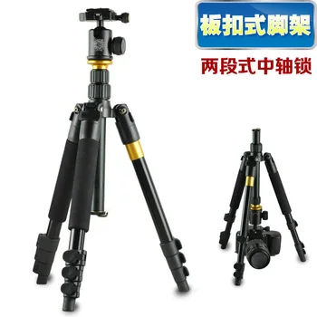 Pro Q570 SLR camera Professional tripod panoramic head Short triangular frame portable Wholesale