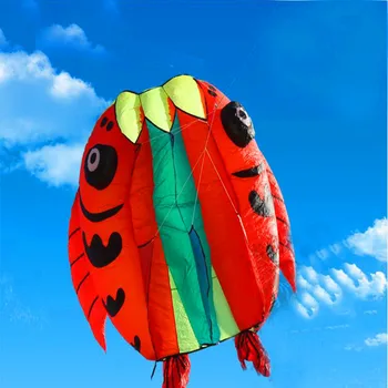 4sq.m soft fish kite flounder outdoor toys giant kites dragon kite bird hawk foil kite windsock