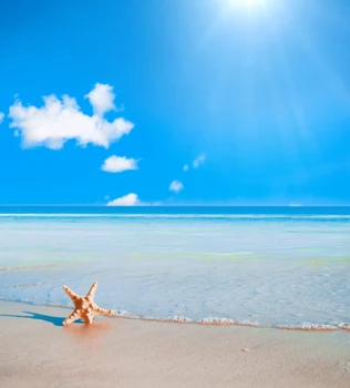 300*600cm(10ft*20ft) vintage photography backdrops Beach Starfish Blue Sky photography backdrops