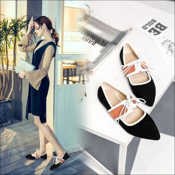 Spring/Autumn Women Flats Women's Shoes Flock Mary Janes Casual Fashion Mixed Colors Lace-Up Pointed Toe Shallow