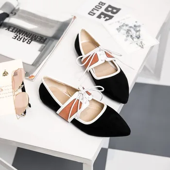 Spring/Autumn Women Flats Women's Shoes Flock Mary Janes Casual Fashion Mixed Colors Lace-Up Pointed Toe Shallow