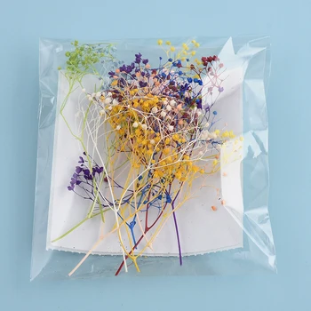 Beautiful 10Pcs/Bag Dried Flower 10 COLORS Cornflower Pretty Preserved Flower 3D DIY Manicure Nail Art Decoration