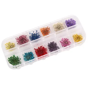 4pcs 12 Colors Real 3D Dried Dry Flower Nail Art Decor UV Gel Acrylic Tips Manicure DIY Decorations