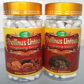 1Bottle Phellinus Linteus (Sanghwang) Extract 30% Polysaccharide Capsule 500mg x 90Counts